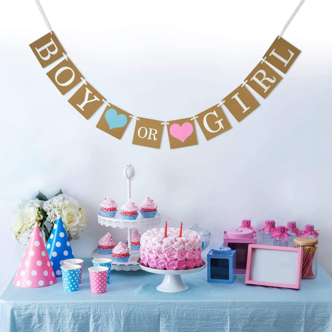 Boy or Girl Rustic Banner at gender reveal party